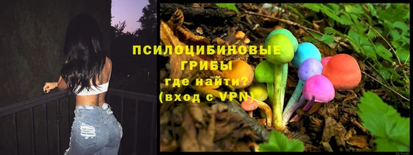 СК Арсеньев