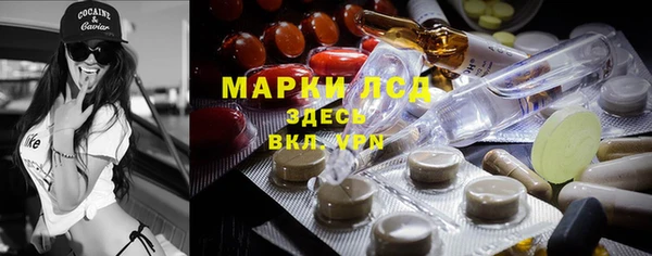 СК Арсеньев