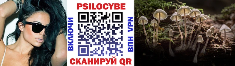 наркошоп маркетплейс Telegram Псилоцибиновые грибы Magic Shrooms Фрязино